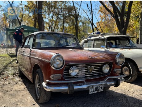 WWI 793, Peugeot 404
