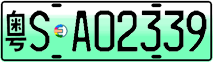 License plate of China, Electric vehicles