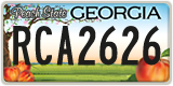 Georgia, ABC 1234