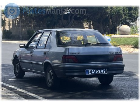 EAU 197, Peugeot 309