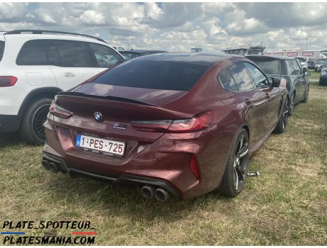 1-PES-725, BMW M8