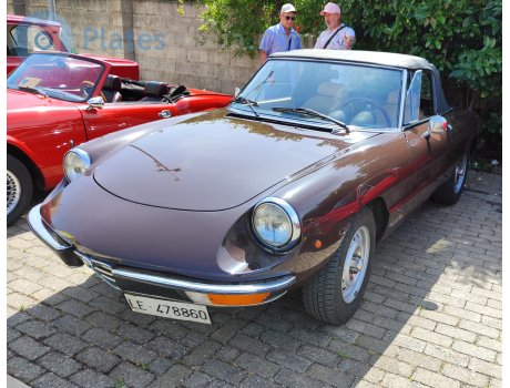 LE 478860, Alfa Romeo Spider