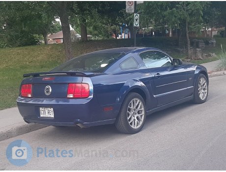 E39 REY, Ford Mustang