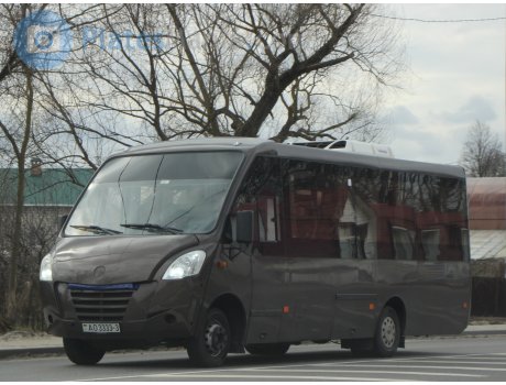 AO 3333-3, Neman 4202