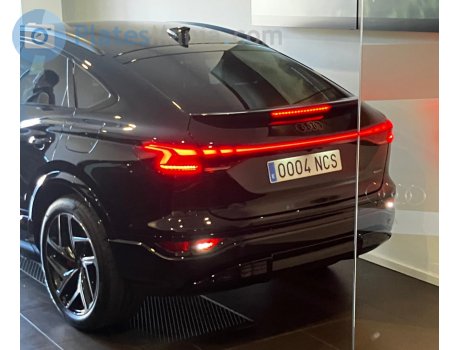 0004 NCS, Audi Q6/SQ6