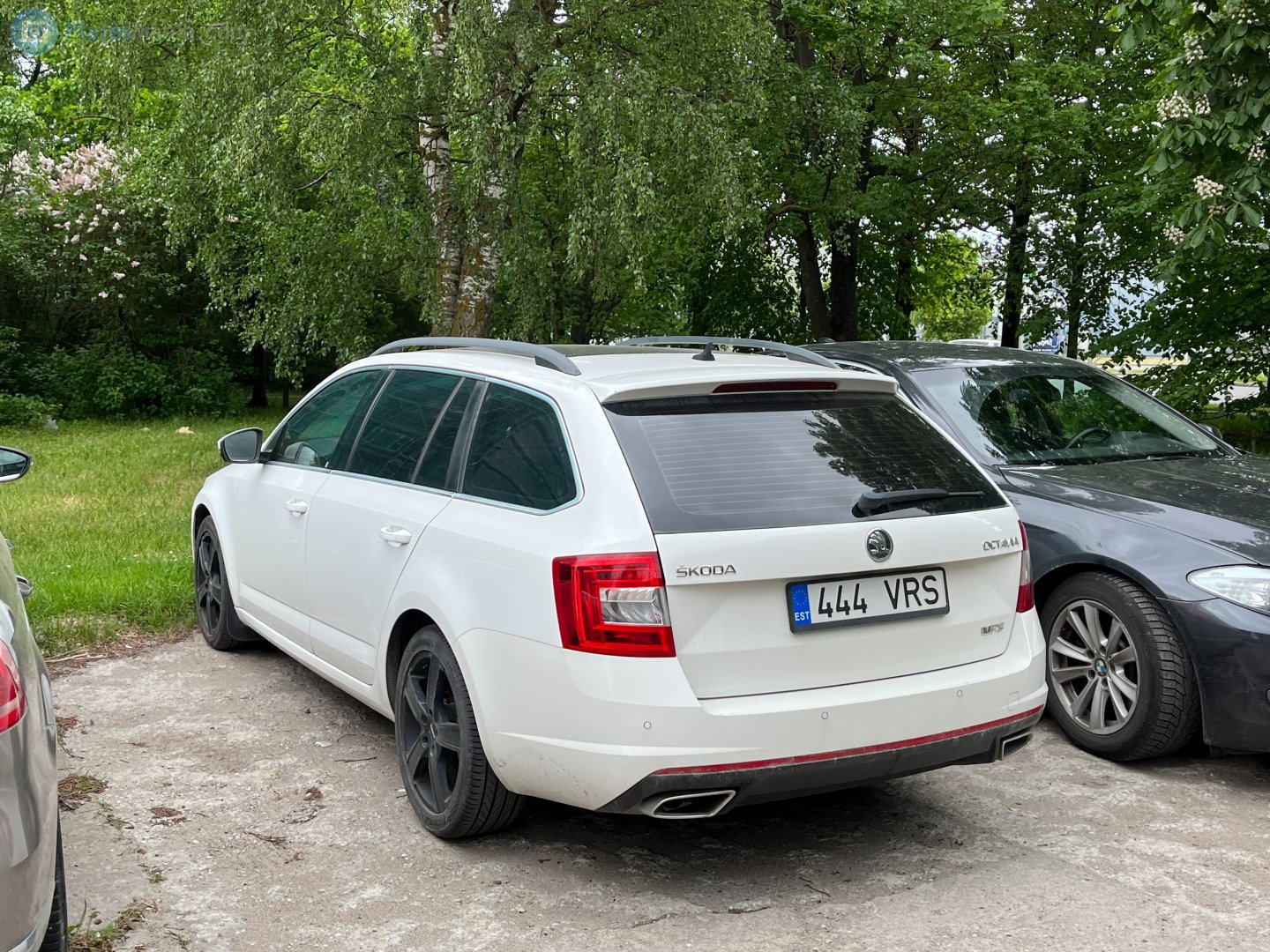 444 VRS, Skoda Octavia 