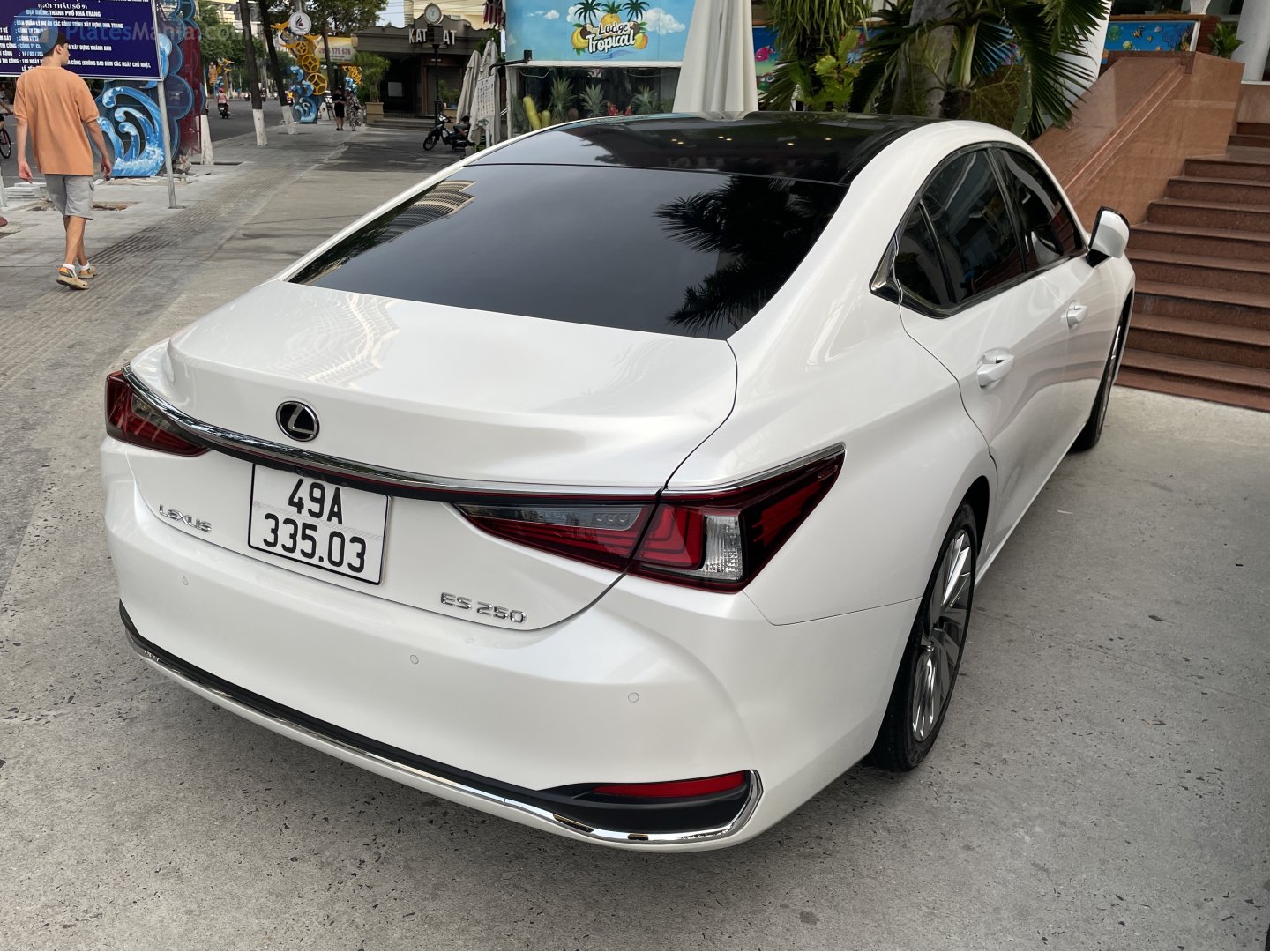 49A-335.03, Lexus ES 7th gen (XZ10), 2018–