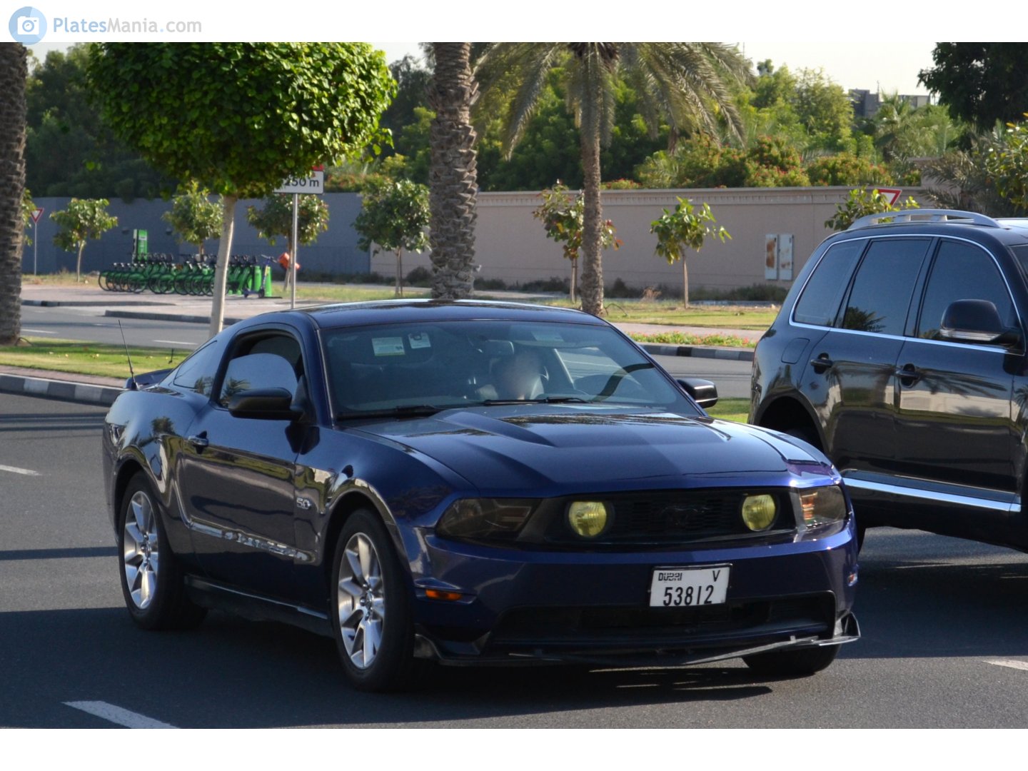 V 53812, Ford Mustang 