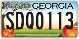 Georgia, ABC 1234