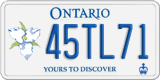 Ontario, Specialty plates (12AB34)