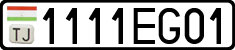 1111EG01