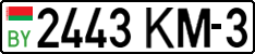 License plate Belarus, Cars (2004)