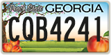 Georgia, ABC 1234