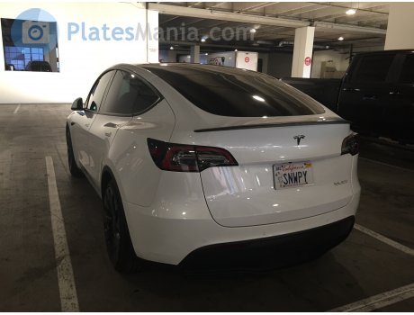 SNWPY, Tesla Model Y