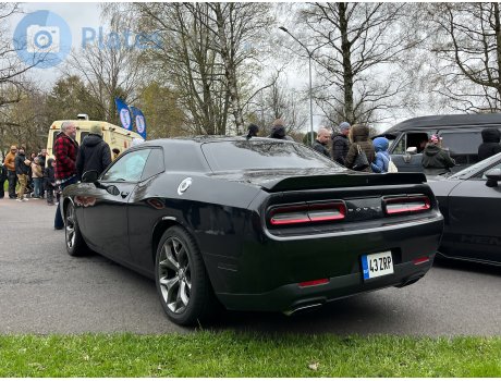 43 ZRP, Dodge Challenger