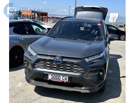 5000 CW, Toyota RAV4