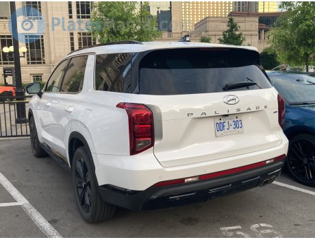 DDFJ-303, Hyundai Palisade