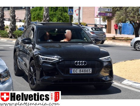 EC 84865, Audi e-tron
