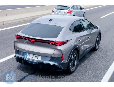 8607 MVH, Cupra Tavascan