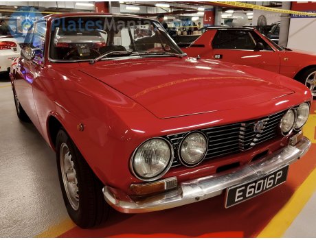 E 6016 P, Alfa Romeo 2000