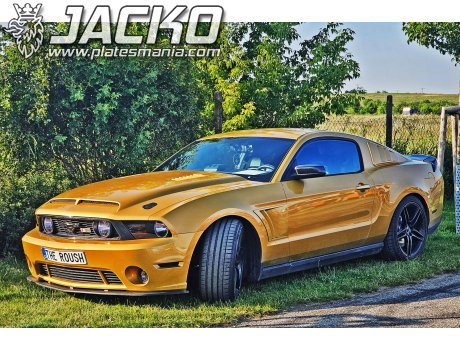 THE R0USH, Ford Mustang