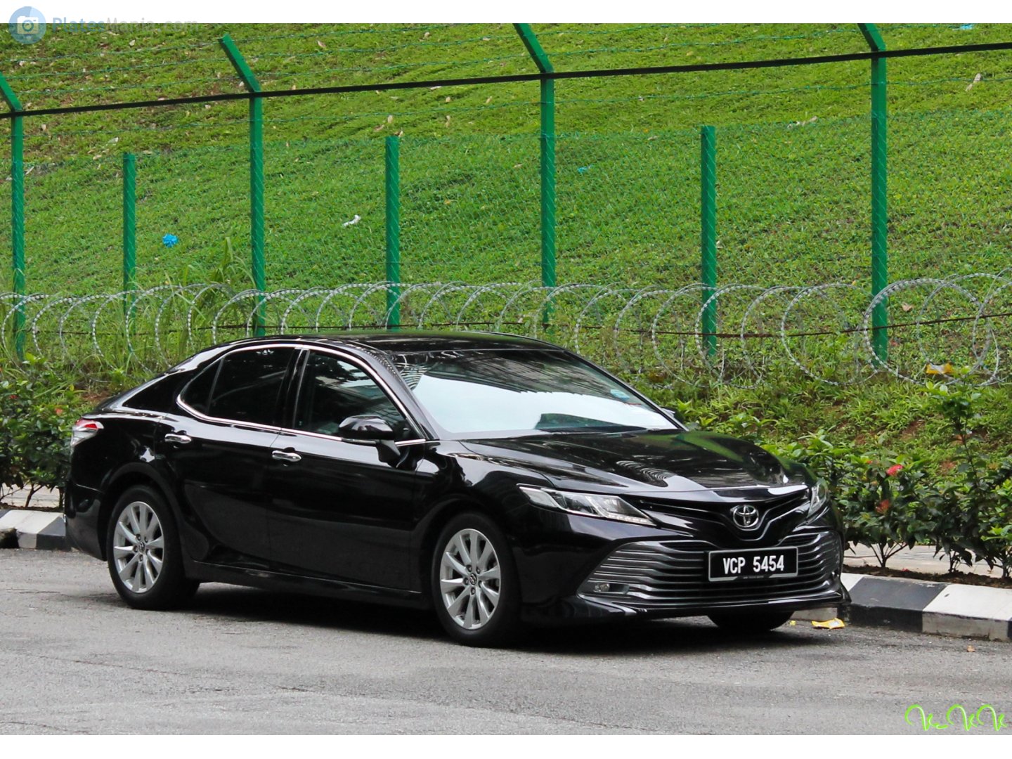 VCP 5454, Toyota Camry 8th gen (XV70), 2017–