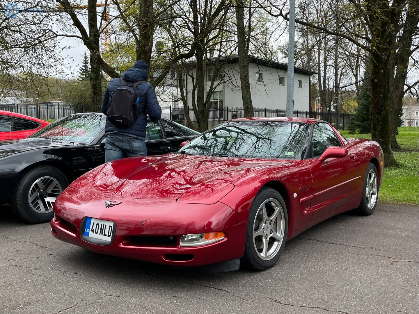 40 NLD, Chevrolet Corvette 