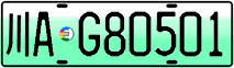 License plate of China, Electric vehicles