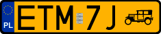 ETM 7J