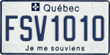 FSV1010