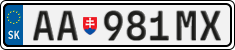 AA 981MX