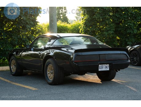 ADRIAN7, Pontiac Firebird