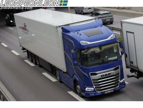 266 TKM, DAF XG