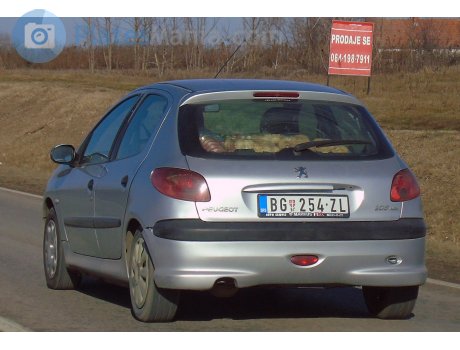 BG 254-ZL, Peugeot 206