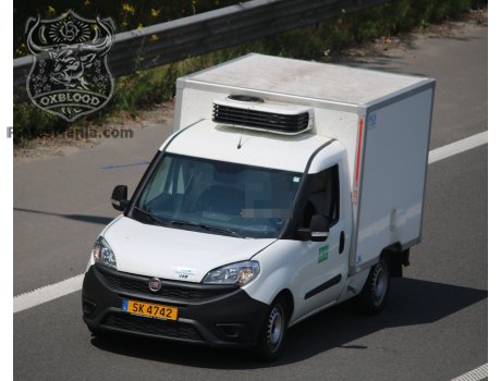 SK 4742, FIAT Doblò