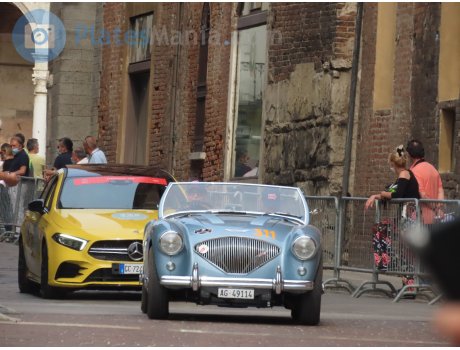 AG 49114, Austin-Healey 100/3000