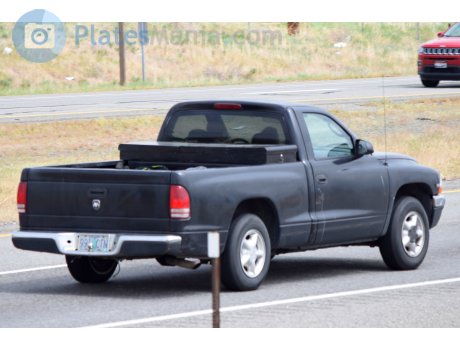 991 CTN, Dodge Dakota