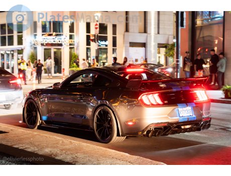 X171308, Ford Mustang