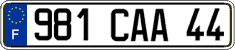 981 CAA 44
