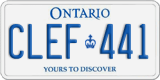 CLEF-441