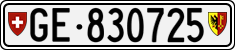 GE 830725