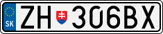 ZH-306BX