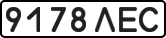 9178 ЛЕС