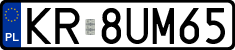 License plates of Poland, Regular car plates