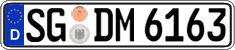 SG DM 6163