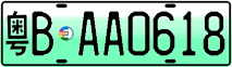 License plate of China, Electric vehicles