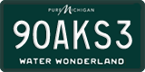 Michigan, Water Wonderland (12ABC3)