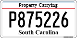 South Carolina, Property Carrying (P123456)