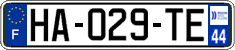 HA-029-TE