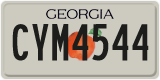 Georgia, ABC 1234